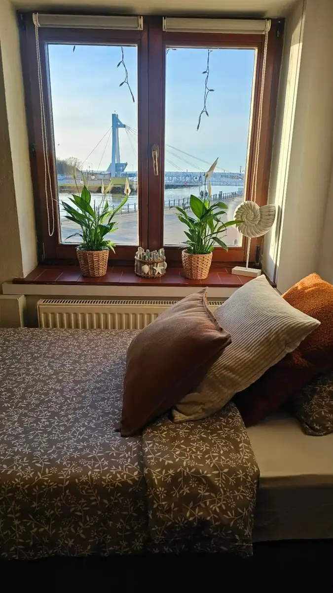 Widok z okna pokoju na port w Ustce, na parapecie rośliny i muszla